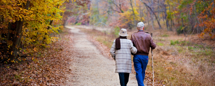 Elderly couple walking in the forest